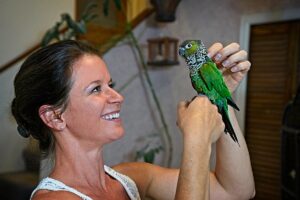 Young woman holding a bird, a black capped conure.